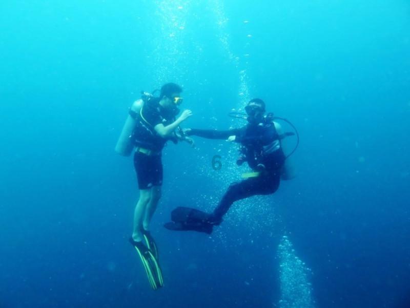 逃离水虎鱼湖